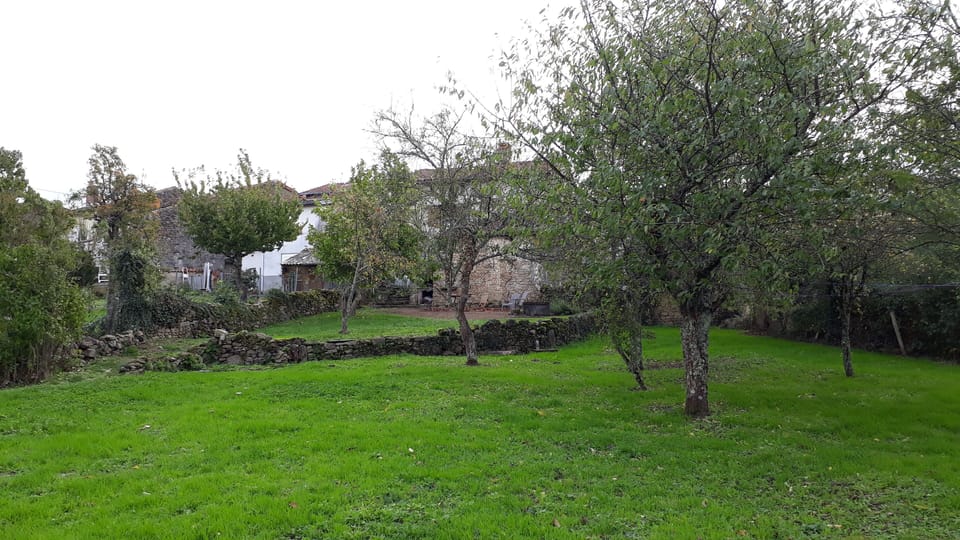 Rear view of house