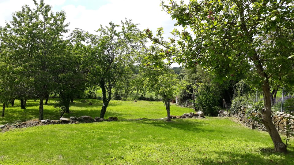 Large rear garden overlooking the Limousin countryside