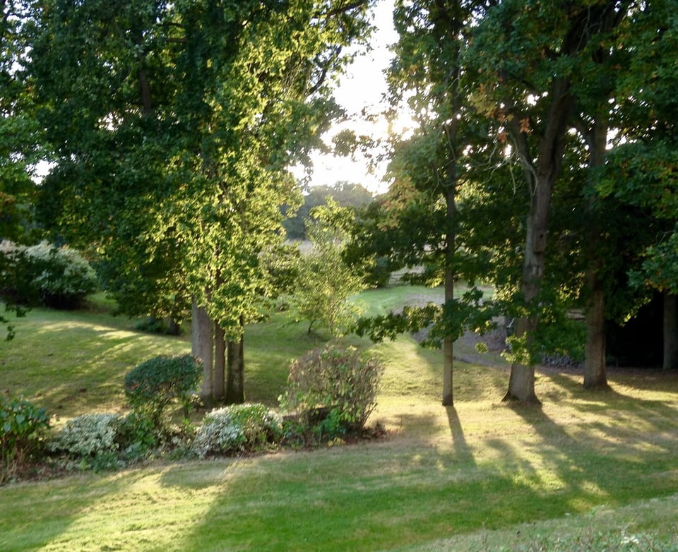 Garden view