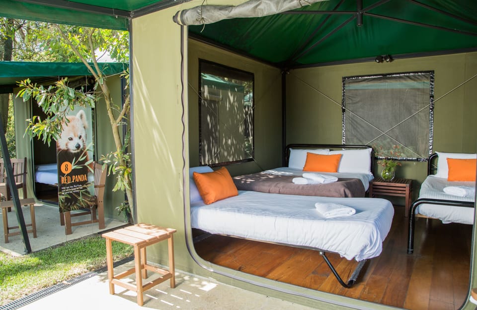 Roar and Snore Tent | WiFi (free), bed sheets