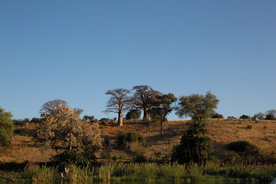 Land view from property