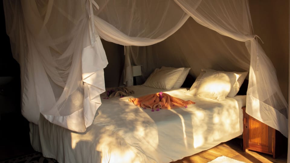 Desk, bed sheets