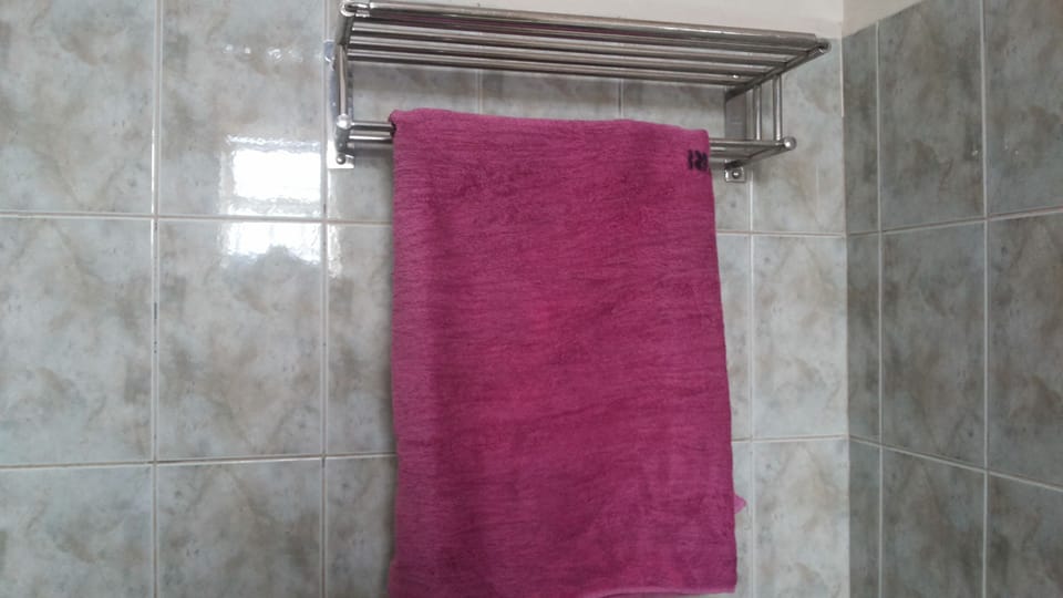 Shower, towels, soap, toilet paper