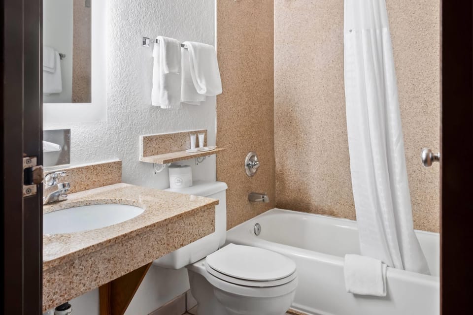Room, 1 King Bed, Non Smoking | Bathroom | Combined shower/tub, free toiletries, hair dryer, towels