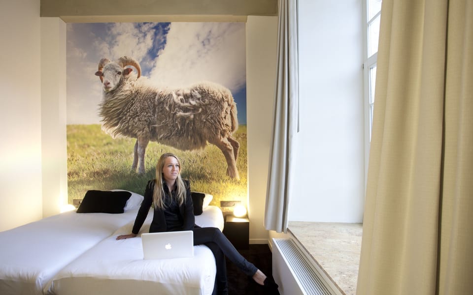 Standard Double or Twin Room | Minibar, desk, cribs (free), WiFi (free)