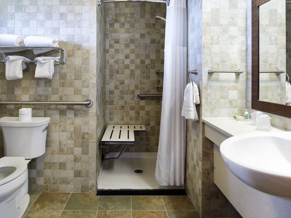 Premium Room, 1 King Bed (Accessible) | Bathroom | Combined shower/tub, free toiletries, hair dryer, towels