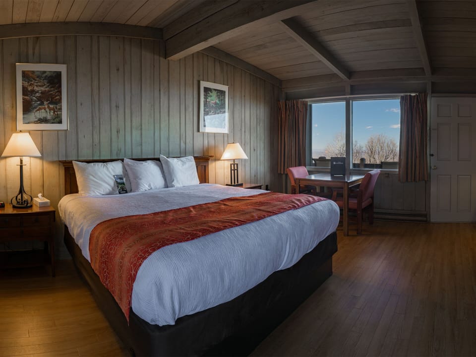 Premium Room, 1 King Bed (Accessible) | Iron/ironing board, bed sheets