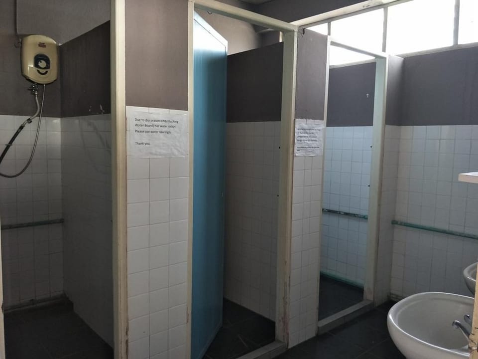 Shower, towels, toilet paper
