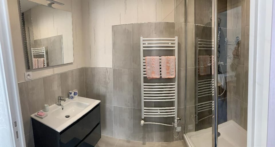 Family Room, 2 Queen Beds | Bathroom | Shower, hair dryer, towels, soap