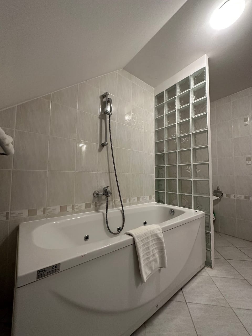 Deluxe Studio (Apartma z 2 spalnicama in balkonom) | Bathroom | Hair dryer, slippers, towels, toilet paper