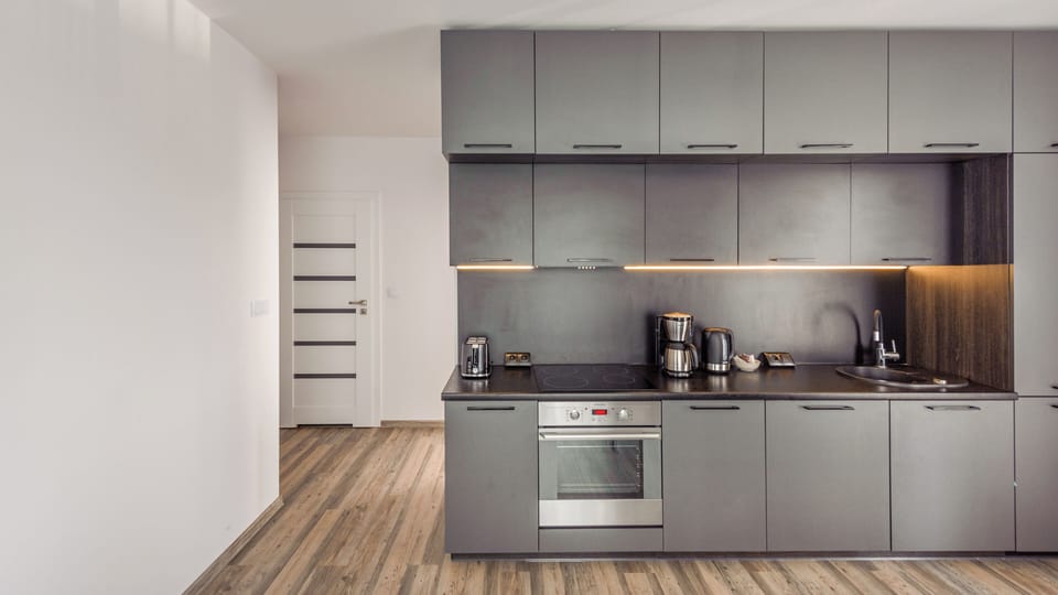 Apartment (25B/9) | Private kitchen | Fridge, microwave, stovetop, dishwasher