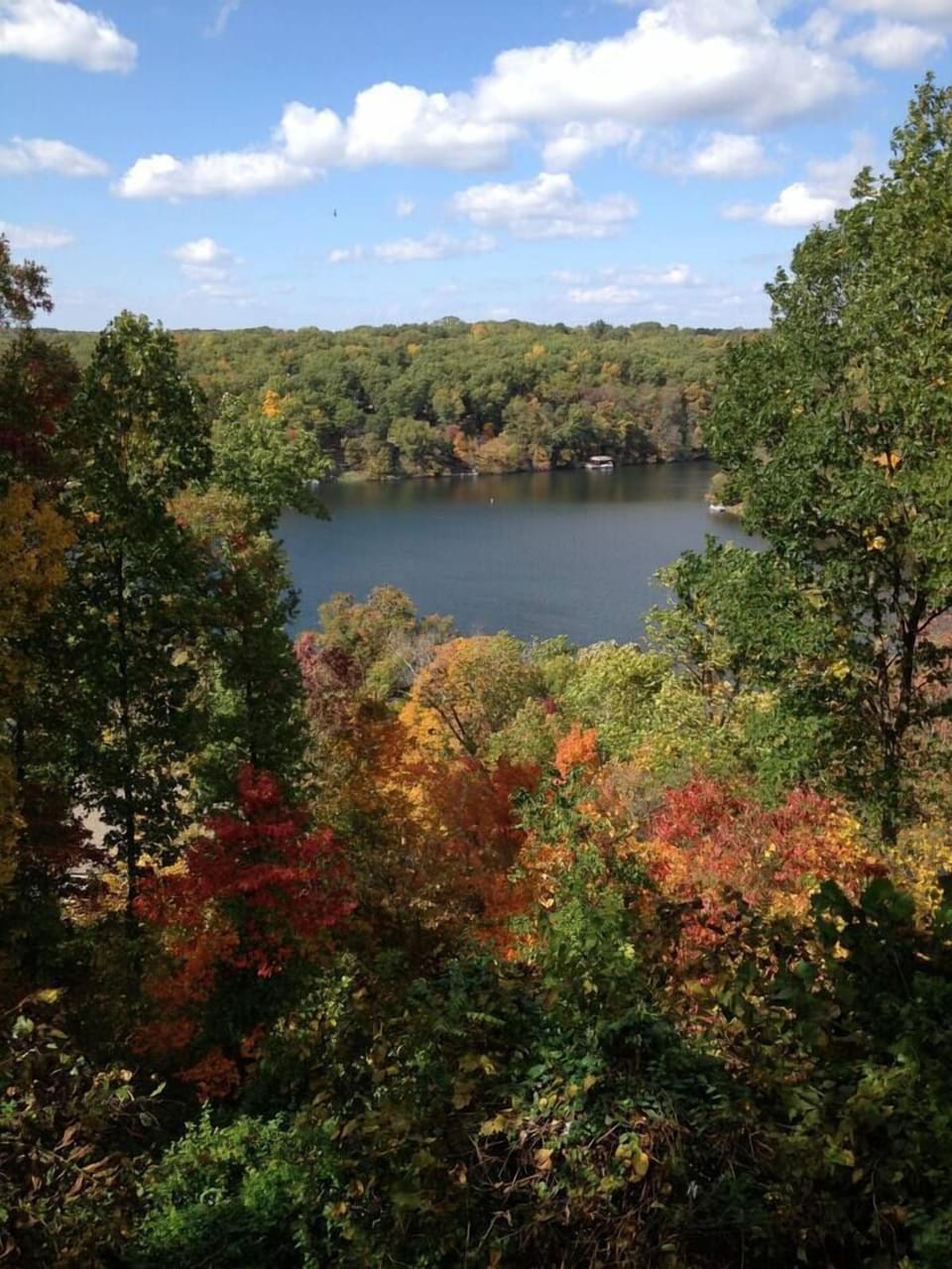 Fall leaves from balcony. Ask us for more details!