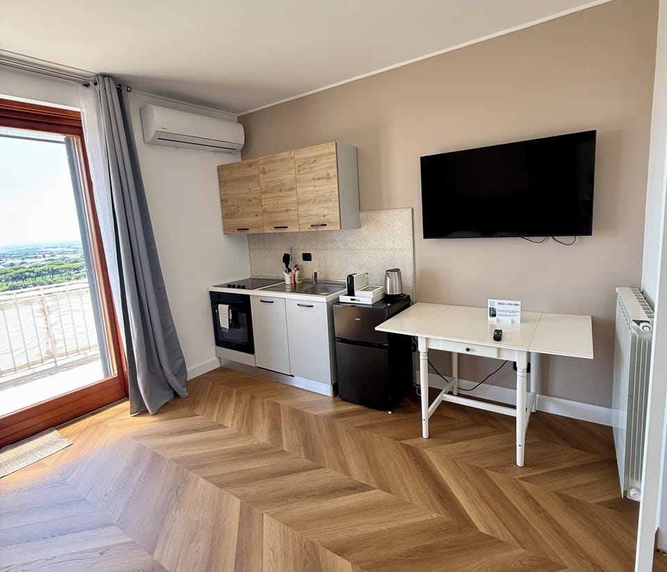 Panoramic Studio | Private kitchenette | Full-size fridge, electric kettle, coffee grinder