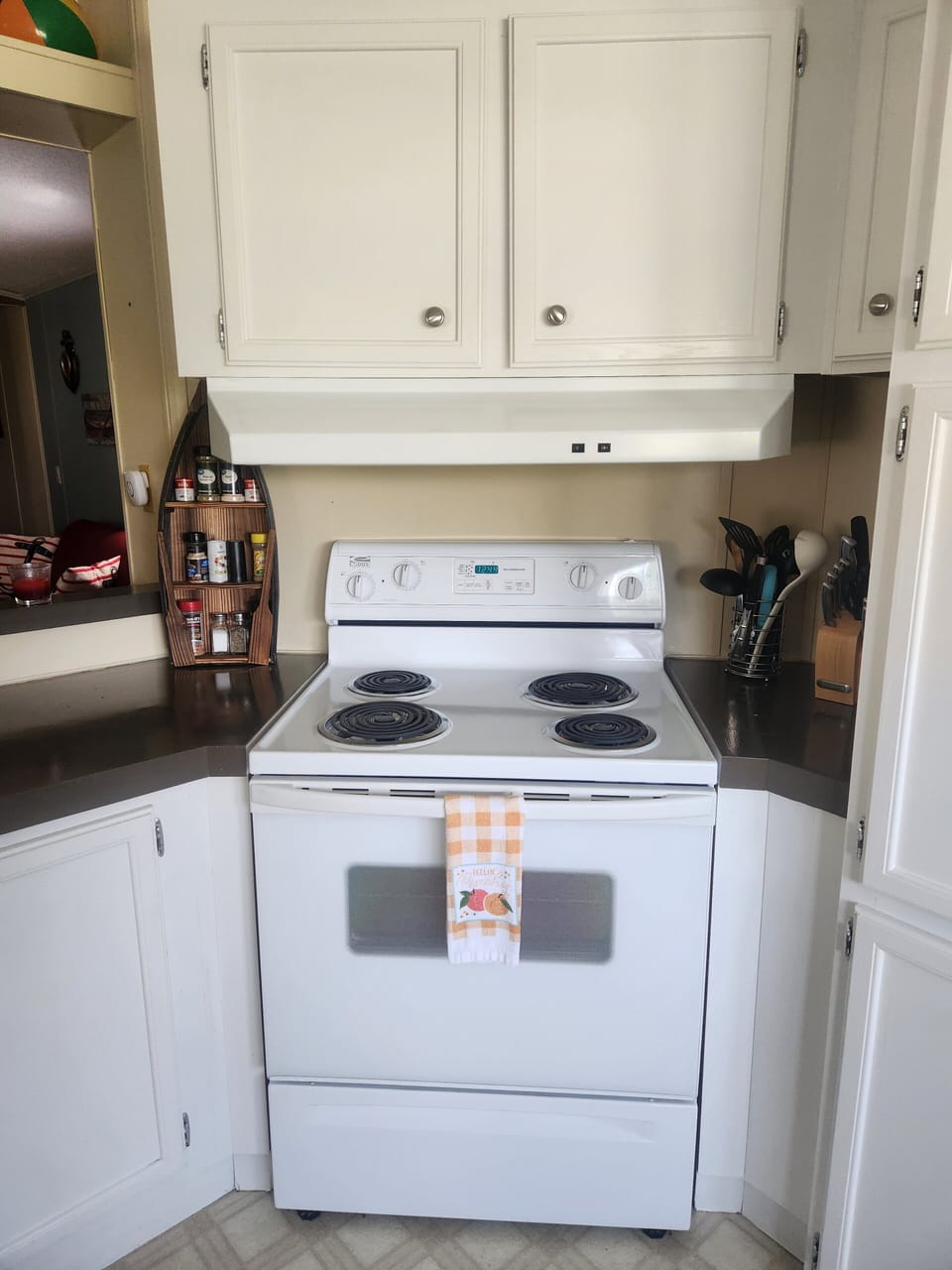 New Electric Stove and Exhaust fan. 