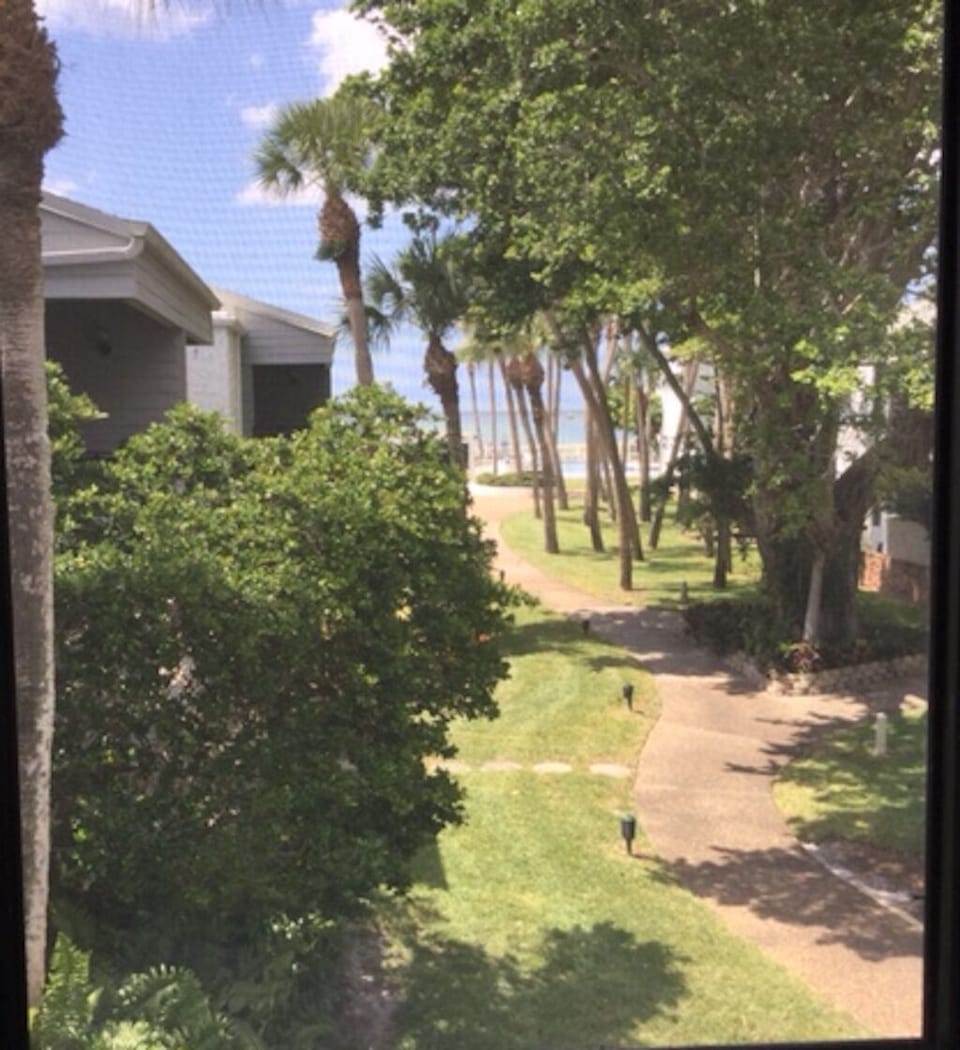 Ocean view from Ocean view bedroom
