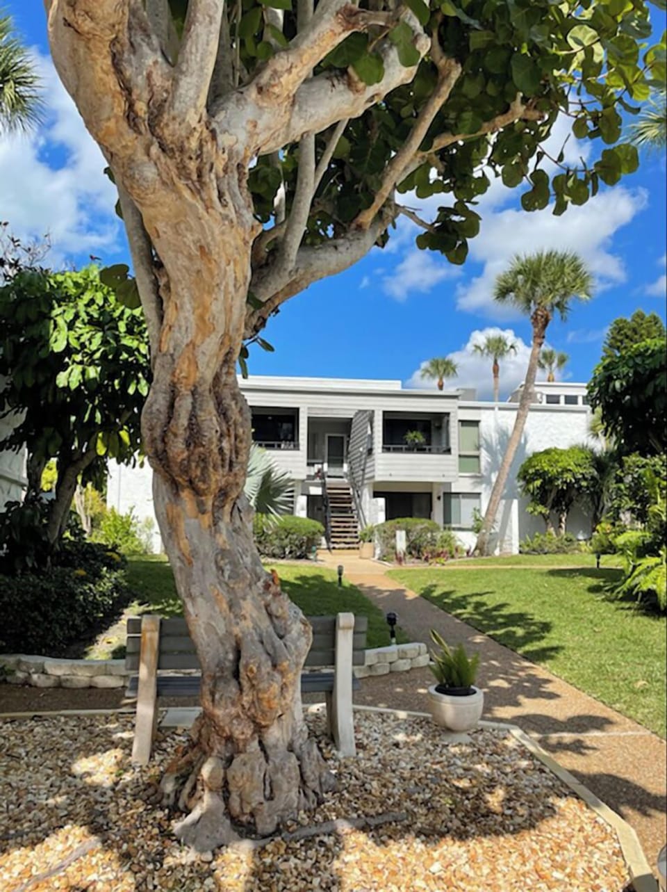 View to the condo from parking area