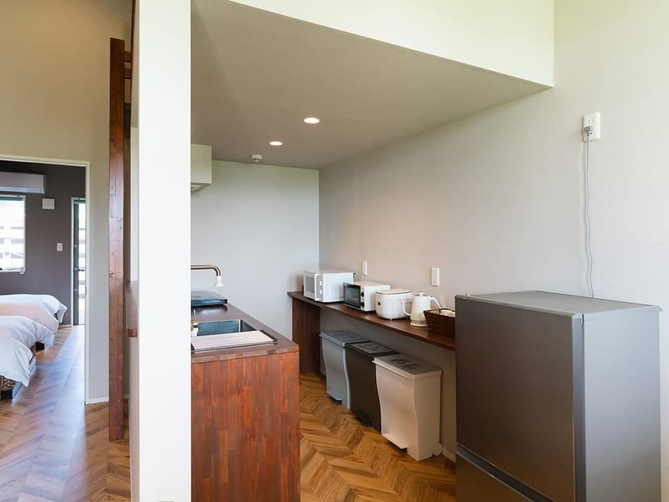 Apartment with Loft | Private kitchen | Fridge, microwave, stovetop, electric kettle