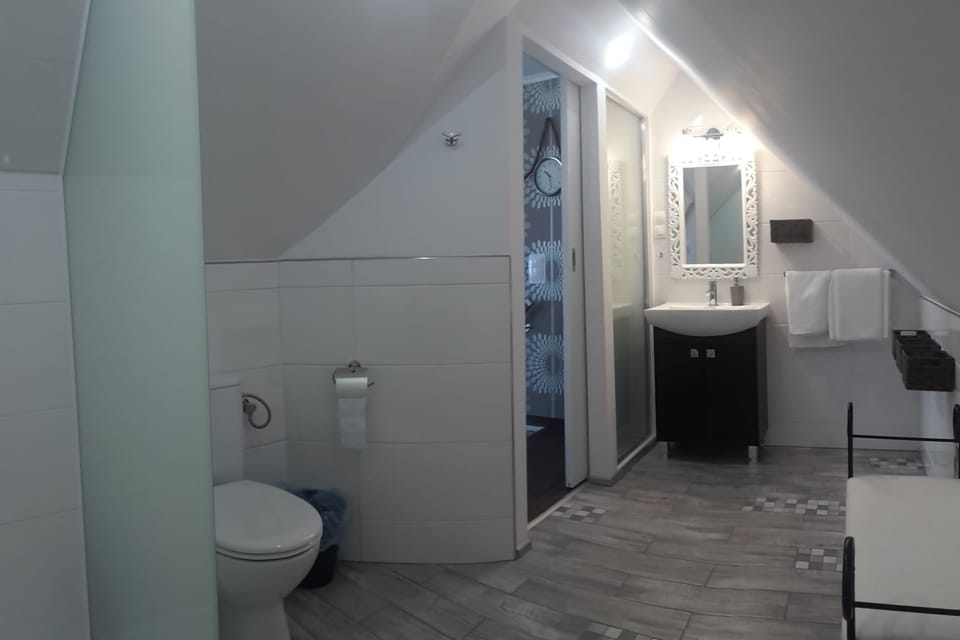 Deluxe Suite, 2 Bedrooms, Pool Access | Bathroom | Shower, hair dryer, bathrobes, towels