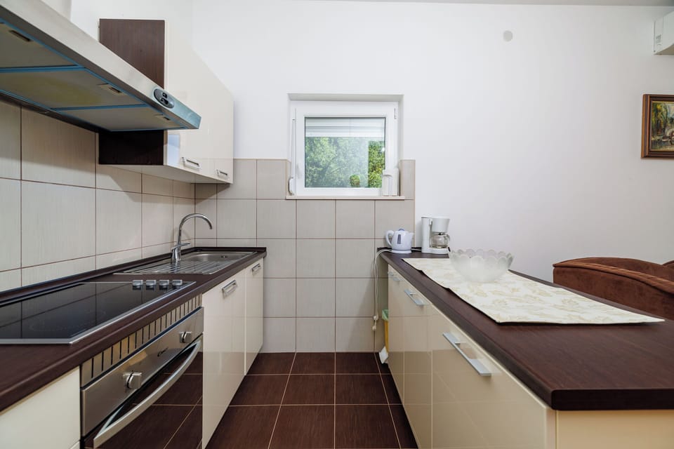 Apartment (A1) | Private kitchen | Fridge, microwave, oven, stovetop