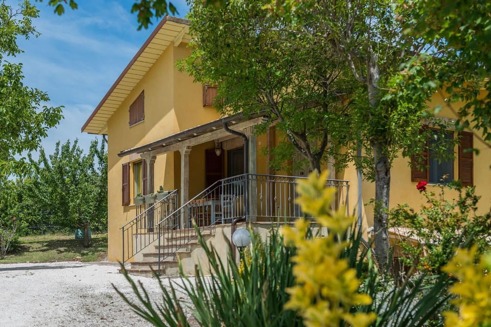 Casa Magica 7 (11342)