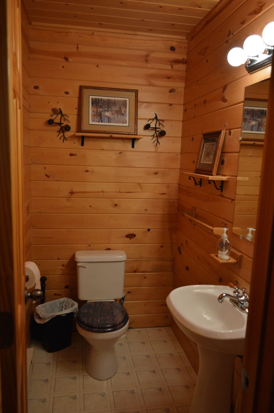 Lodge main level 1/2 bathroom
