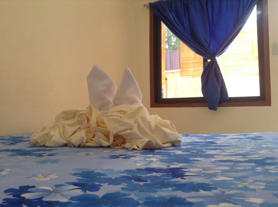 Basic Twin Room | Free WiFi
