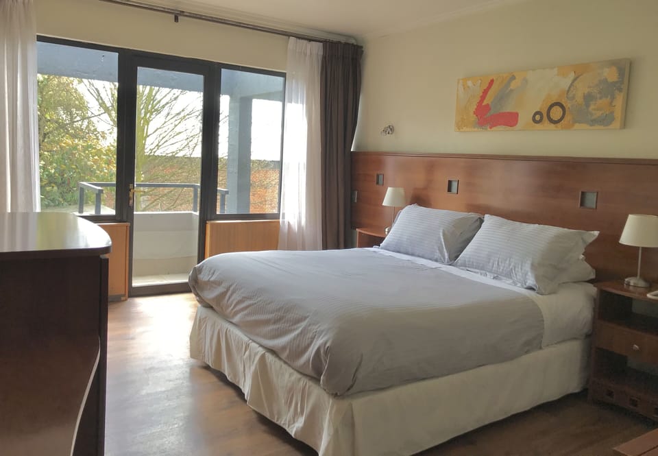 Superior Double Room, 1 Queen Bed | Egyptian cotton sheets, premium bedding, desk, laptop workspace