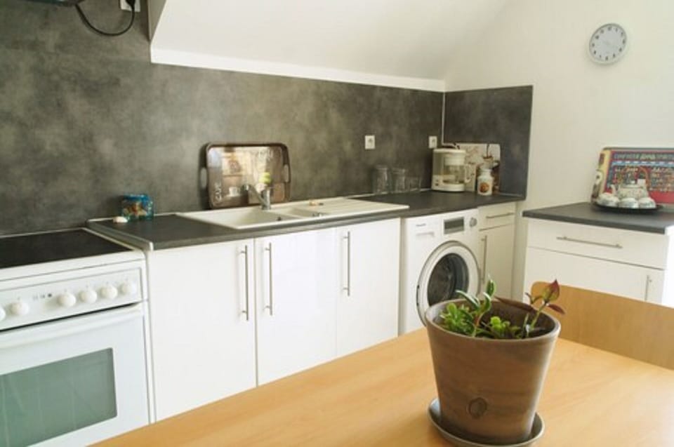 Studio (de la Terre) | Private kitchen | Full-size fridge
