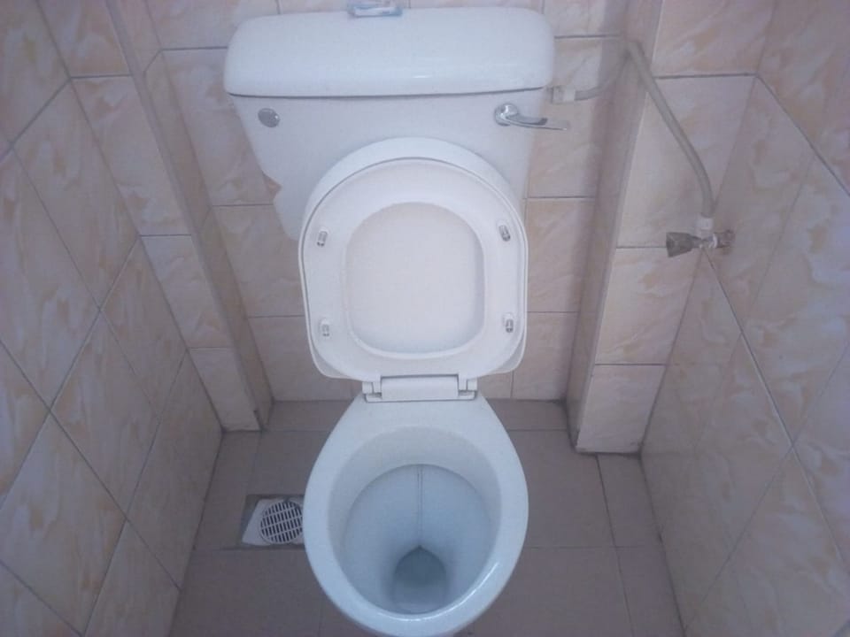 Single Room | Bathroom | Shower, rainfall showerhead, free toiletries, towels