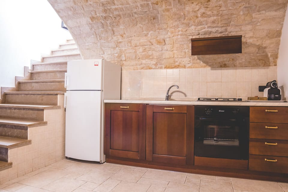 Studio (Basement) | Private kitchen | Fridge