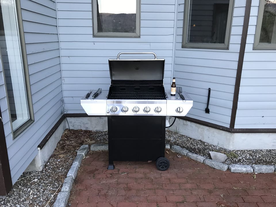 Grill with a supply of propane 