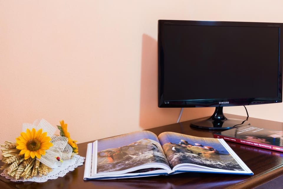 Television