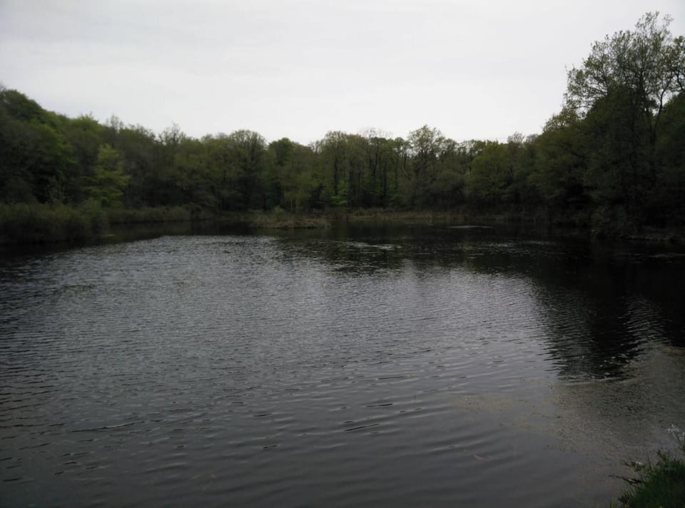 Lake view