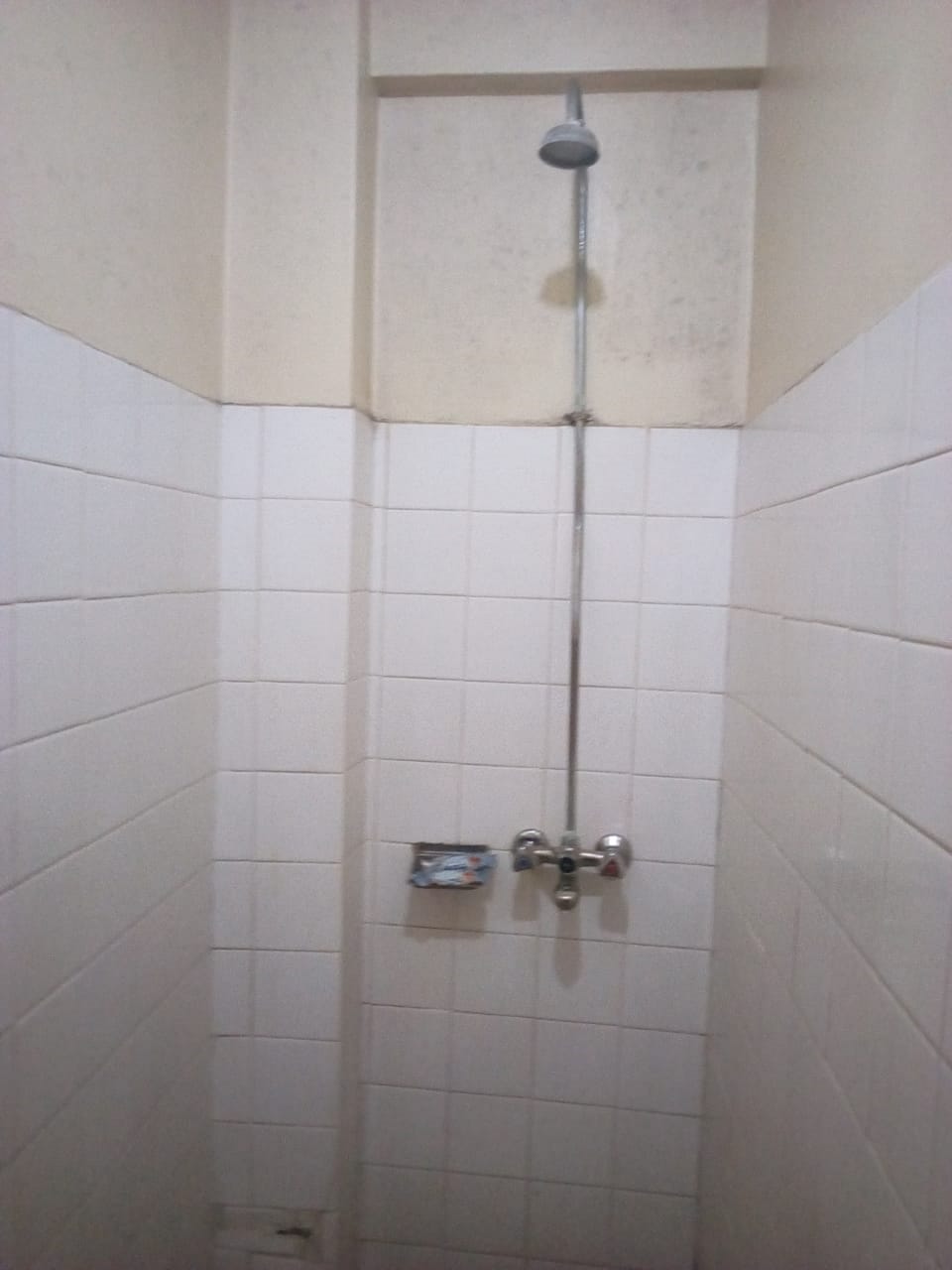 Single Room | Bathroom shower