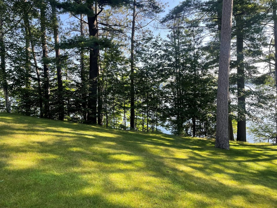 Lake View