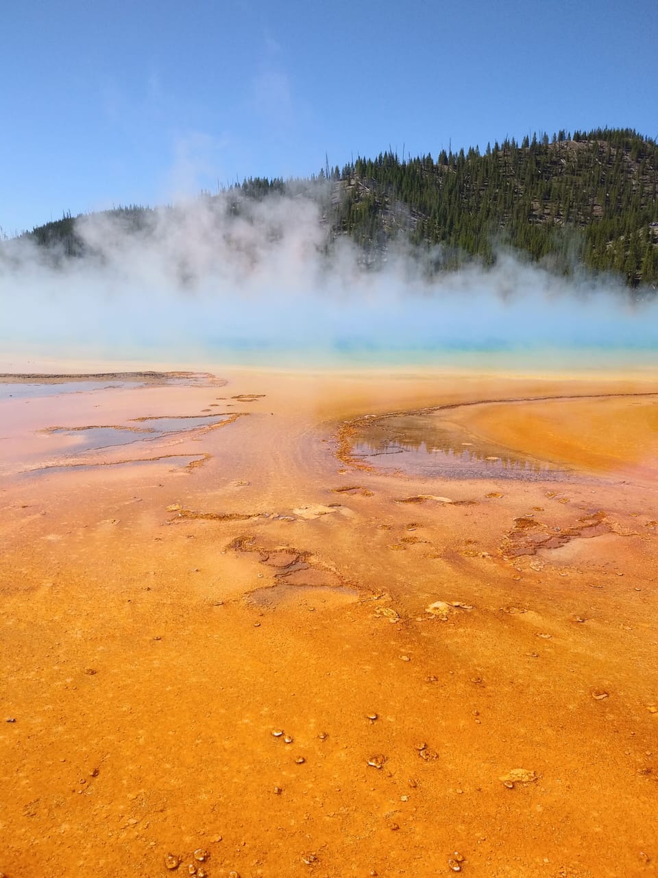 Yellowstone Park