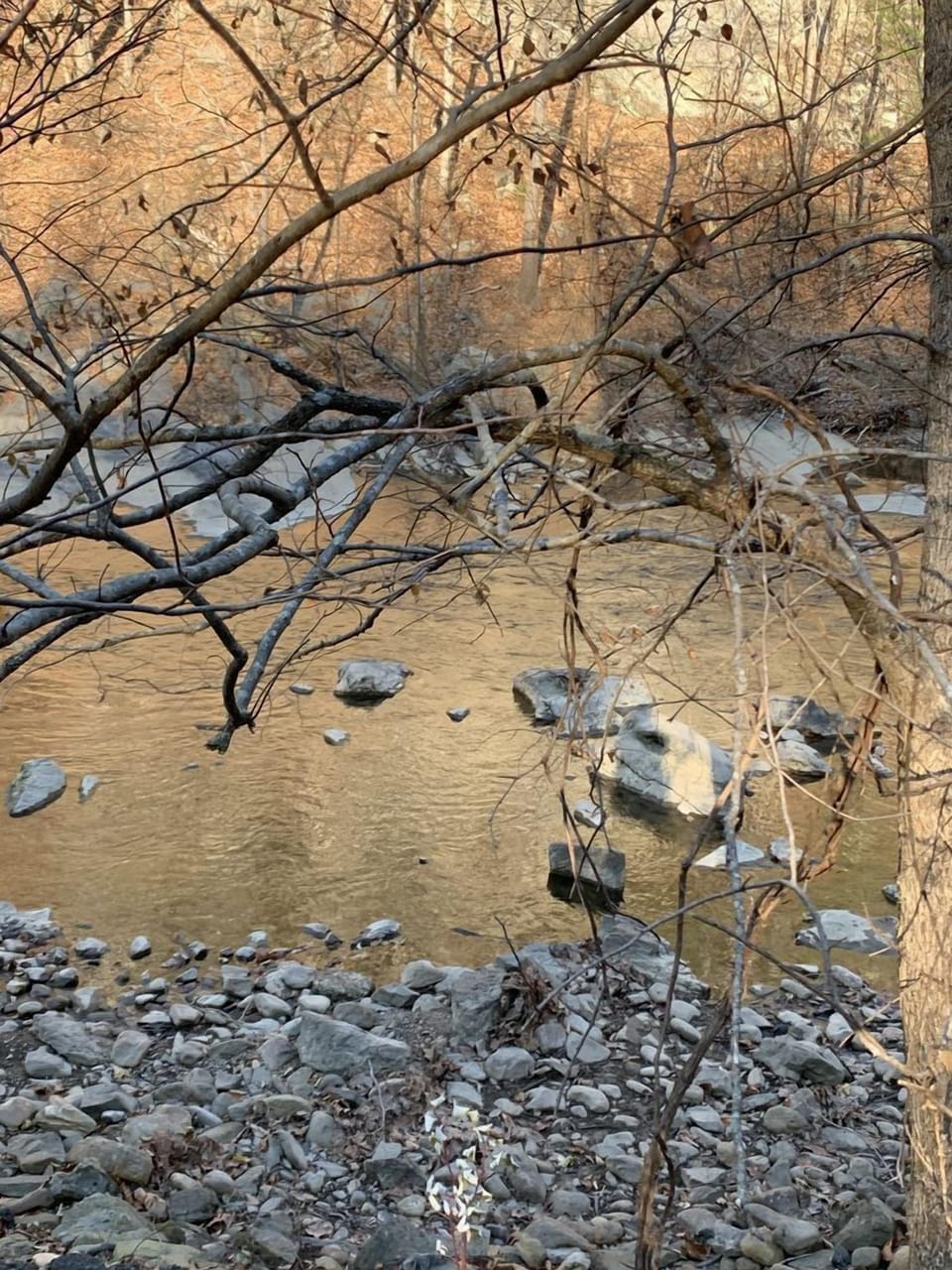 Beautiful just minutes from our house and to be used by guests