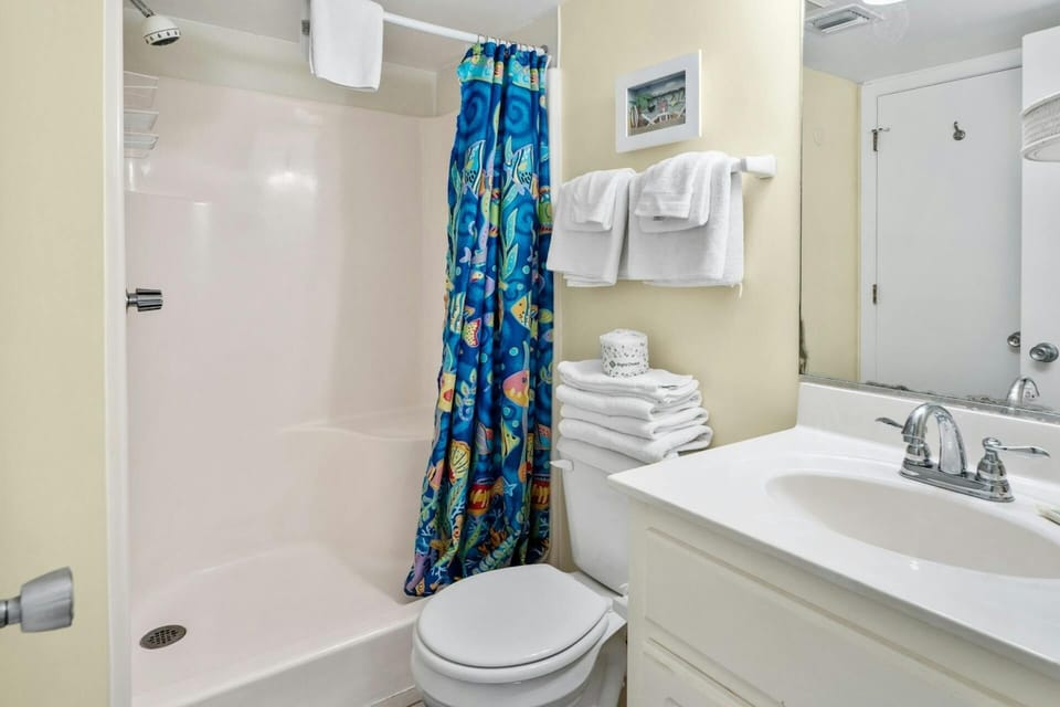 Pic11 