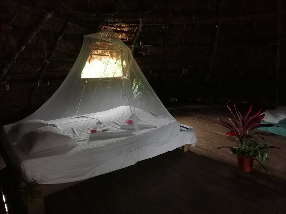 Executive Double Room | Bed sheets
