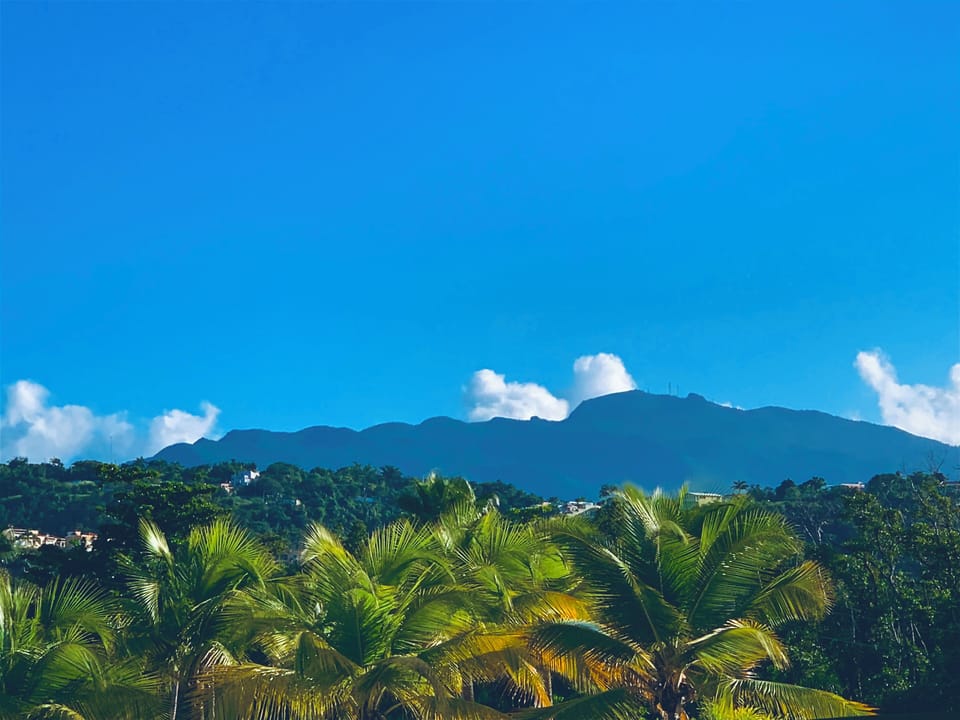The nearby El Yunque Rainforest is visible from our beach and gardens.