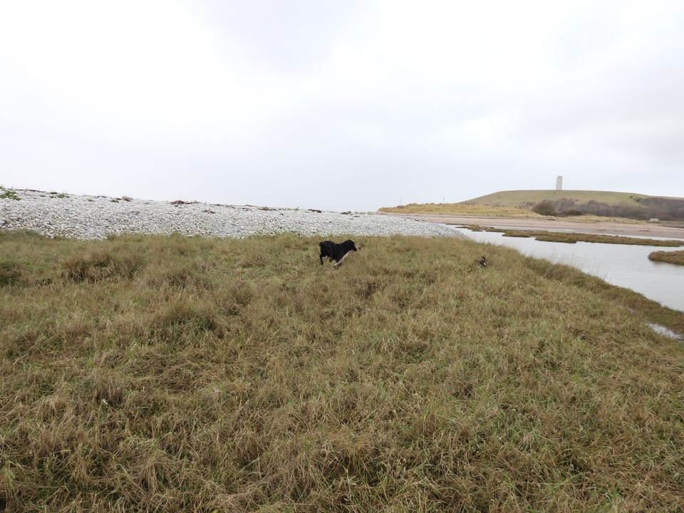 Welsh Heritage Coastal path