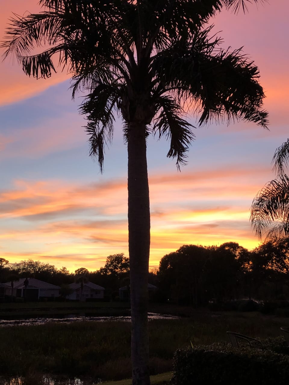Sunset from the patio!