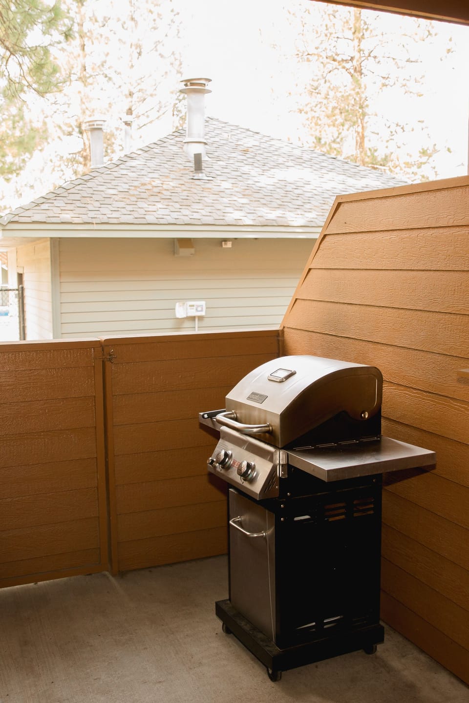 Back Patio w/ BBQ