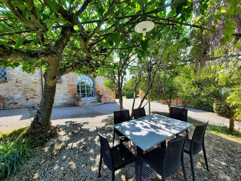 The house from the green arbor
