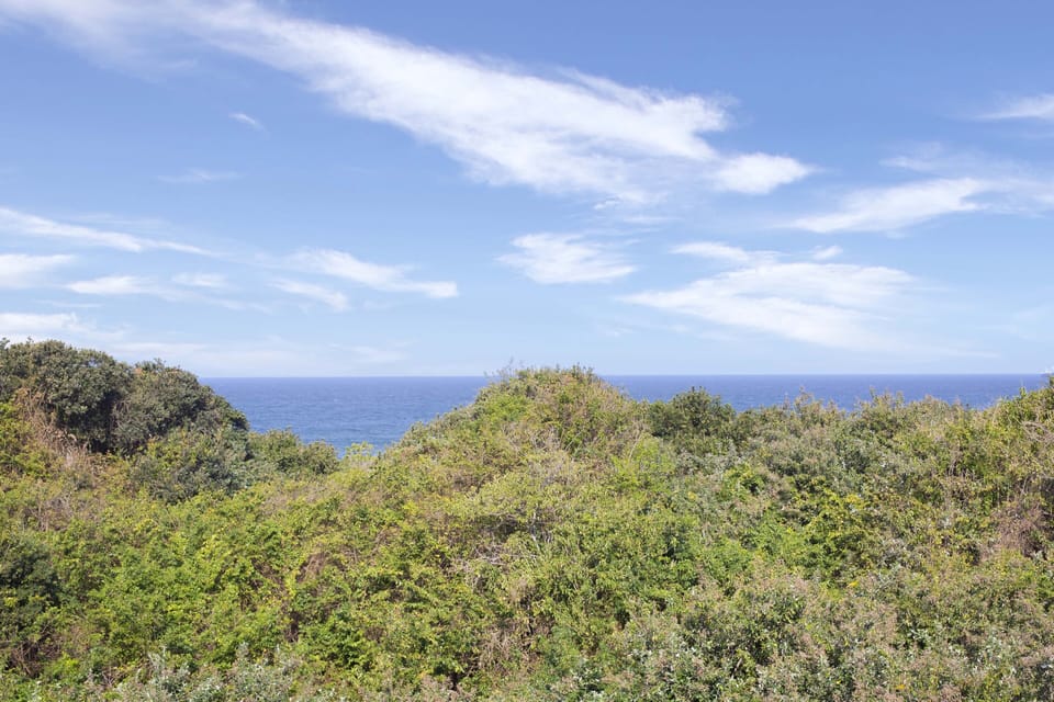 Beach/ocean view
