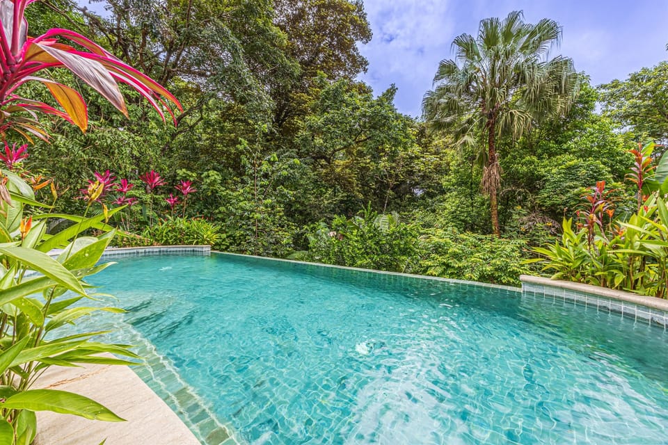 Infinity-style pool blending seamlessly with the surrounding jungle