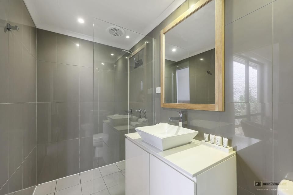 Premium King Room | Bathroom | Shower, hair dryer, towels