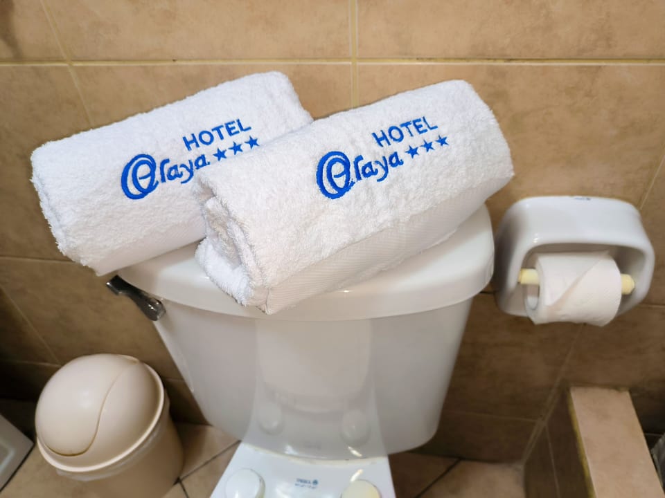 Standard Double Room | Bathroom | Shower, rainfall showerhead, hair dryer (on request), towels