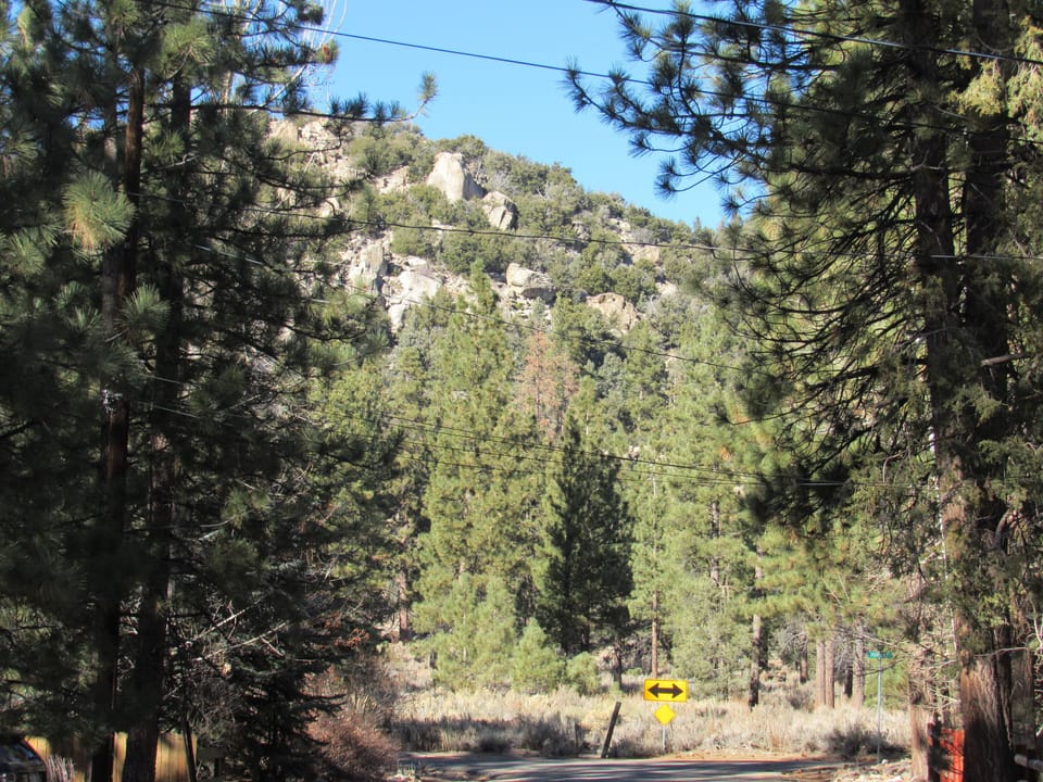 Hiking & Biking trails in the National Forest, 1/4 block from the cabin