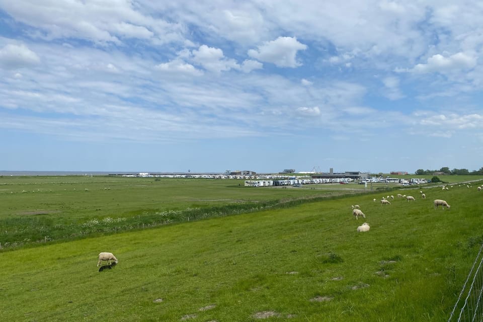 Surroundings [summer] (1-5 km)